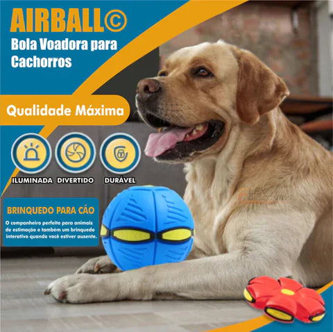 Bola Voadora para Cães - Airball© [COMPRE 1 LEVE 3]